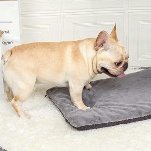 Matelas pour chien ConfortZen™ | Coussin chien déhoussable
